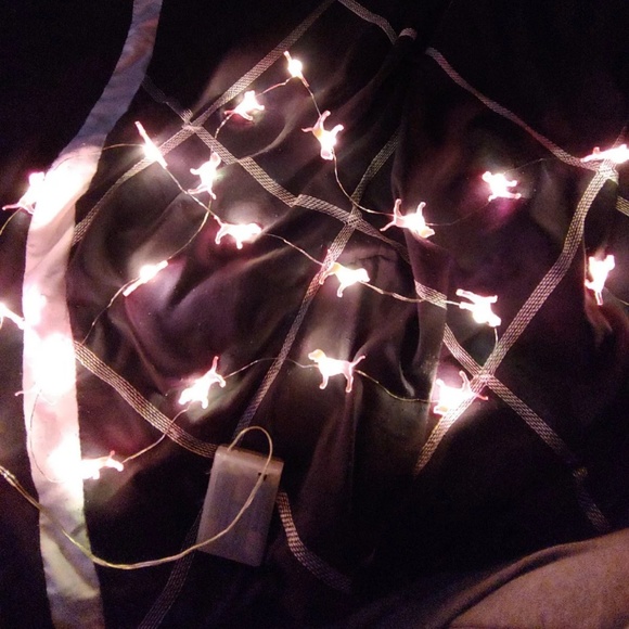 PINK dog string lights - Picture 1 of 3